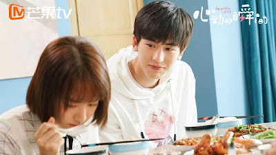 Sparkle Love (心动 的 瞬间) Synopsis And Cast: Chinese Drama